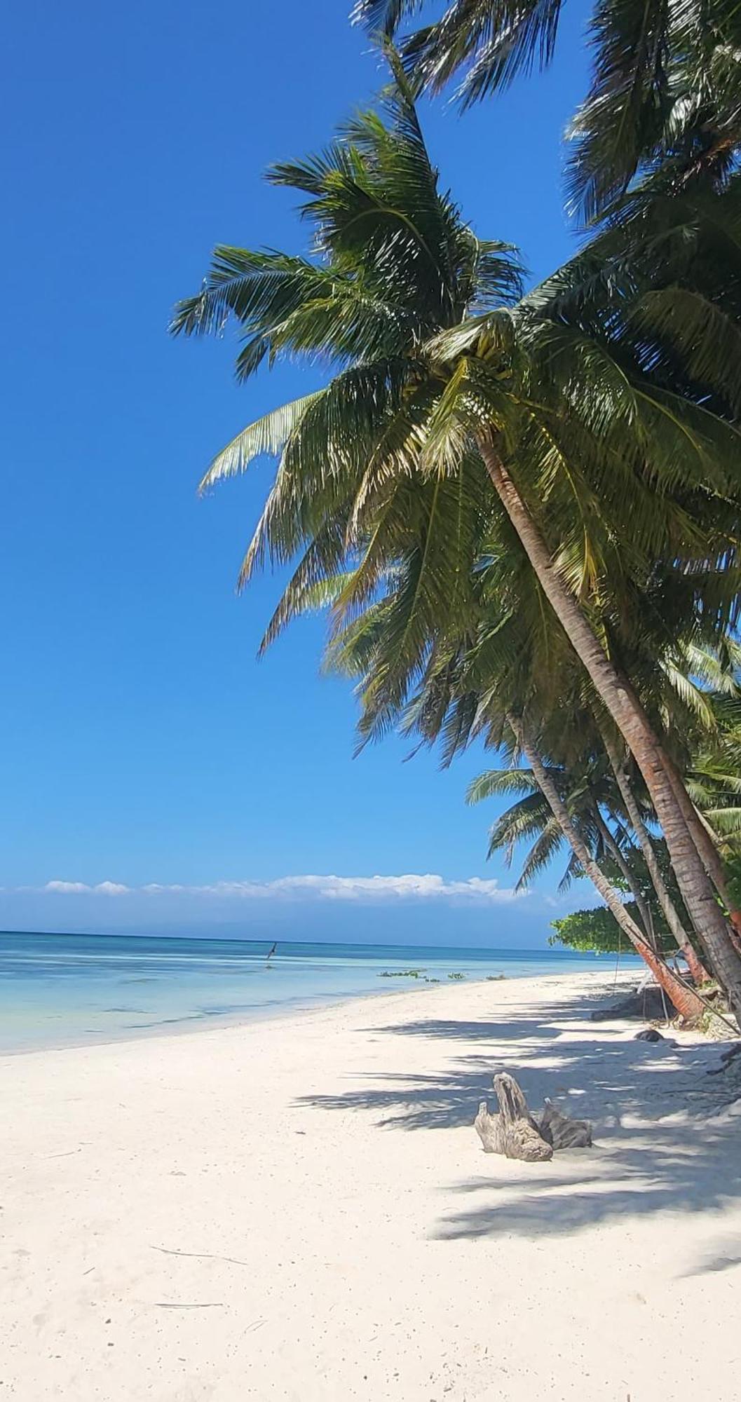 Apo Diver Beach Resort San Juan  Exteriér fotografie